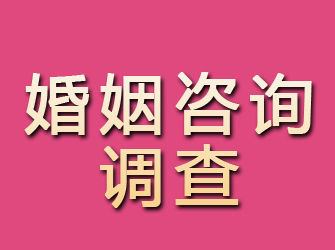 安国婚姻咨询调查